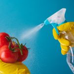 Gloved,Hands,Disinfecting,Tomatoes,With,Water,Spraying,Solution